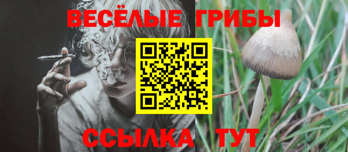 Галлюциногенные грибы GOLDEN TEACHER  Галлюциногенные грибы мухоморы  Обнинск  Вход с VPN 